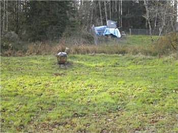 1st image of 517 Duck Lake Dr NE