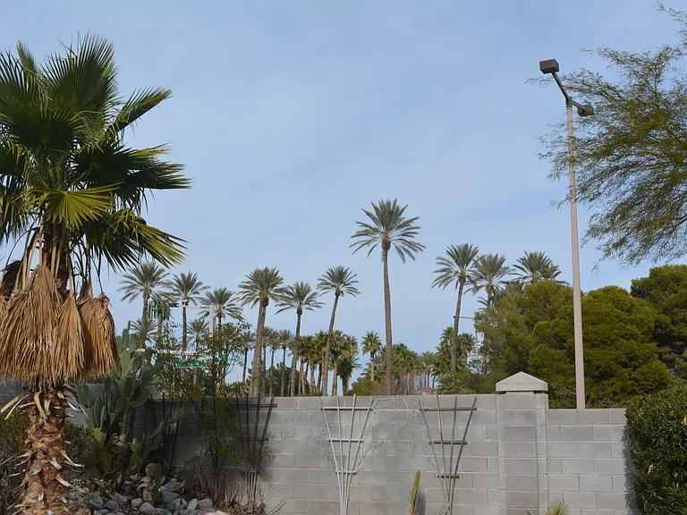 Sun Rose Ave — Photo 20