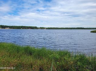 545 S Horsepen Drive, Harrells, NC 28444