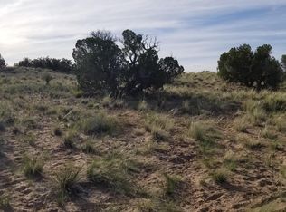 LOT 185 Carrizo Rnch LOT 185, Saint Johns, AZ 85936