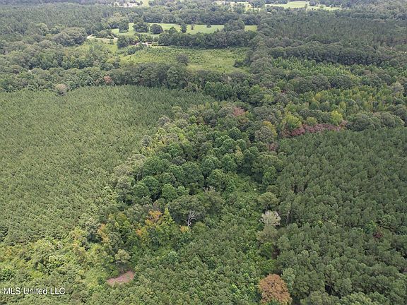 5th image of Smith County Rd