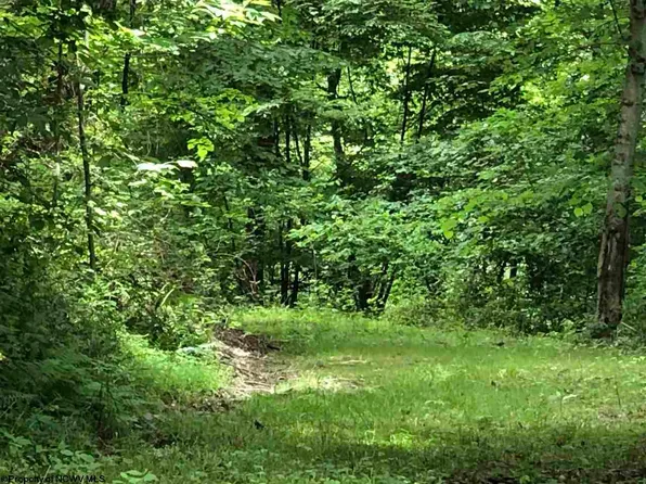 Route 43 Wades Run Rd, Morgantown, WV 26501