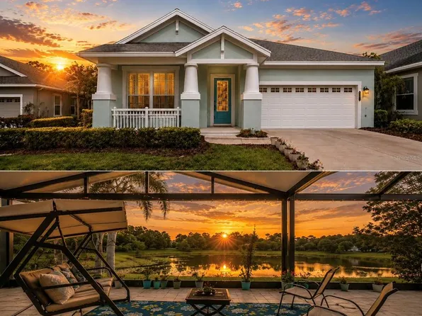 20133 HERON CROSSING DRIVE, TAMPA, FL 33647