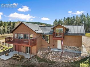 19 Worley Rd, Divide, CO 80814