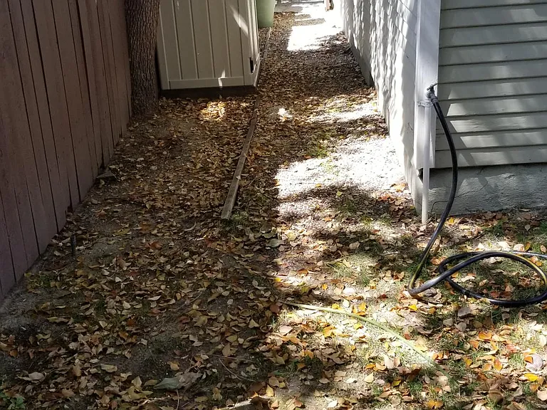 Side yard with tenant shed