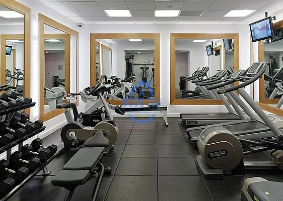 Rented by Blue Egg Realty Corp | media 39