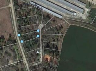 28 W Pines Dr, Montgomery, TX 77356