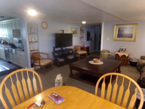 Dining area/living room