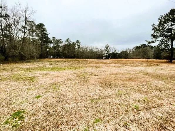 0 George Ln, Bonneau, SC 29431