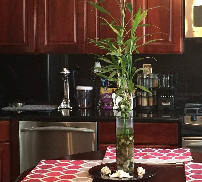 1st image of 2566 48th St #2