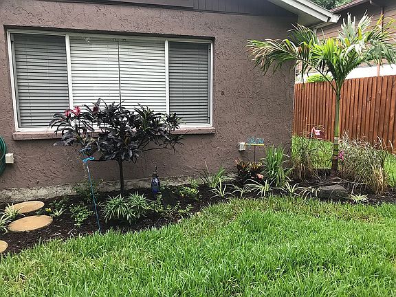 Back yard