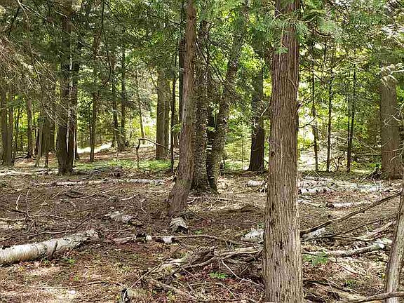 2nd image of Spalding Dr