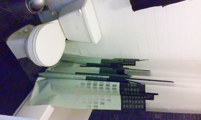 Rented by Superior Homes | media 14