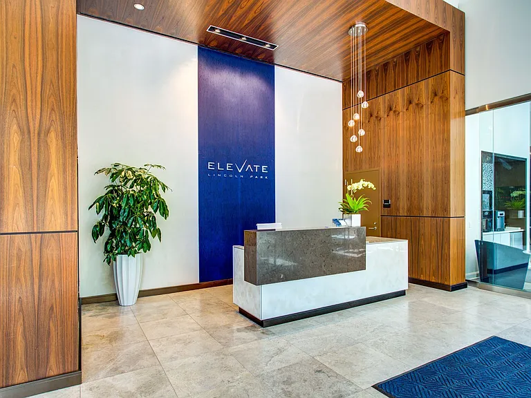 Elevate Lincoln Park — Photo 7