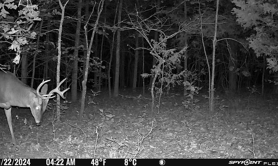 1st image of 23609 State Hwy N