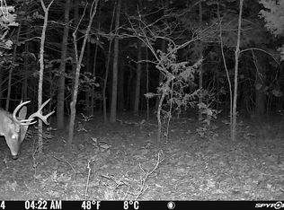 23609 State Hwy N, Marble Hill, MO 63764