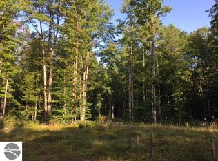 13103 Twin Lake Rd NE, Kalkaska, MI 49646