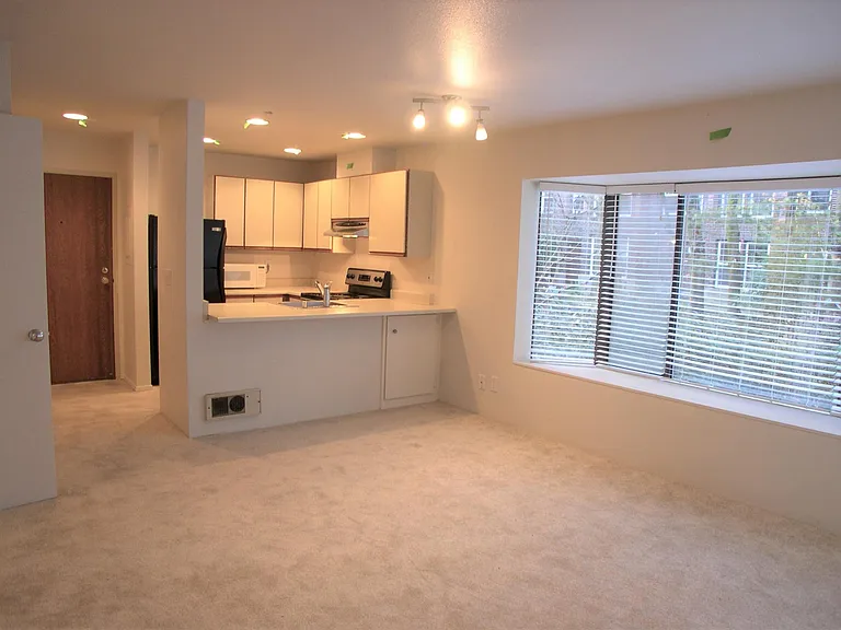 211 Summit Ave E #215 — Photo 9