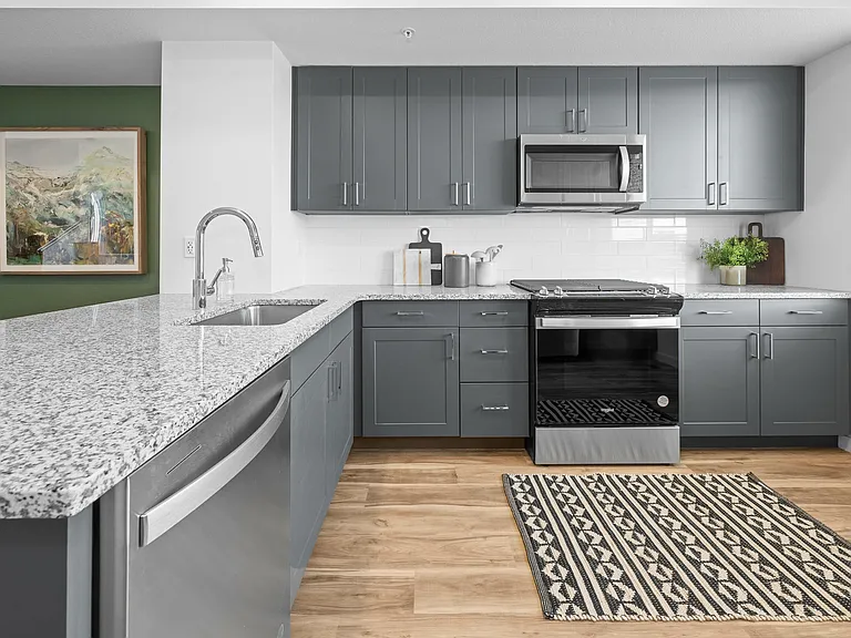 Lupine Longmont