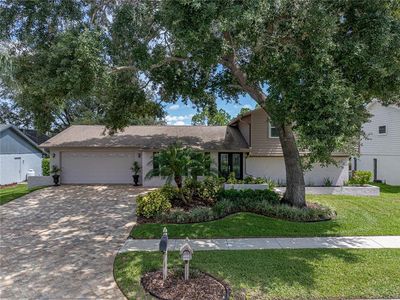 4317 Honey Vista Cir, Tampa, FL, 33624