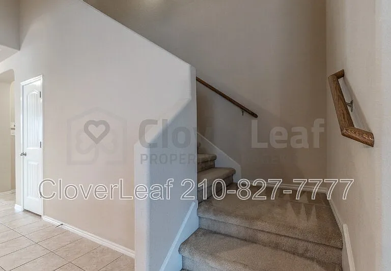 3734 Ox Eye Daisy — Photo 19