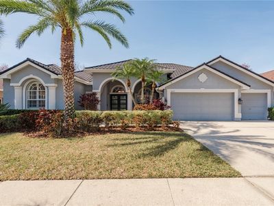 10537 Greensprings Dr, Tampa, FL, 33626