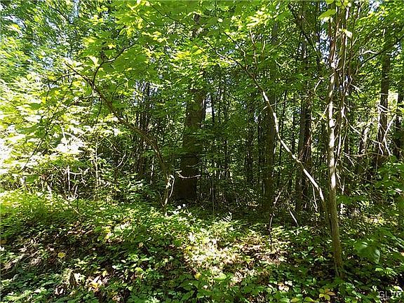 3rd image of 411B Maryann Dr