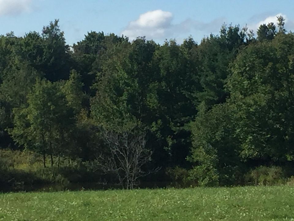 1st image of 0 190th Ave