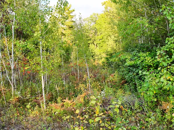 LOT 17 Ronald Ave, Tiny, ON L0L 1P1