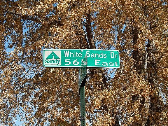 5th image of 10494 S White Sands Dr