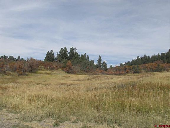 4th image of X ROUSH Drive
