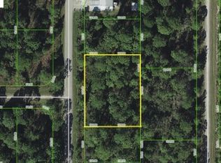 1253 Greenfield St, Lake Placid, FL 33852