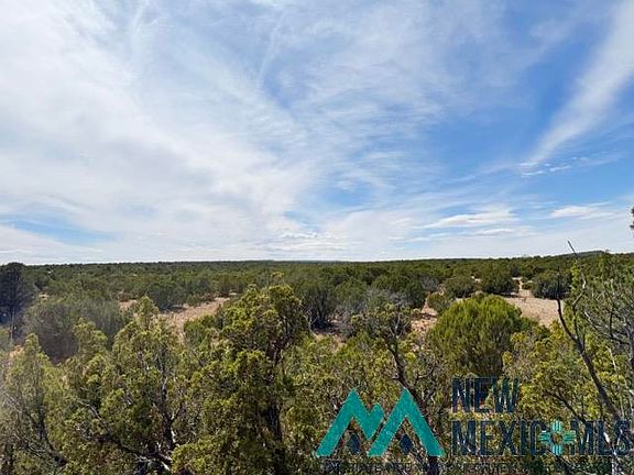 4th image of 40 Acres Off Cres #B-29