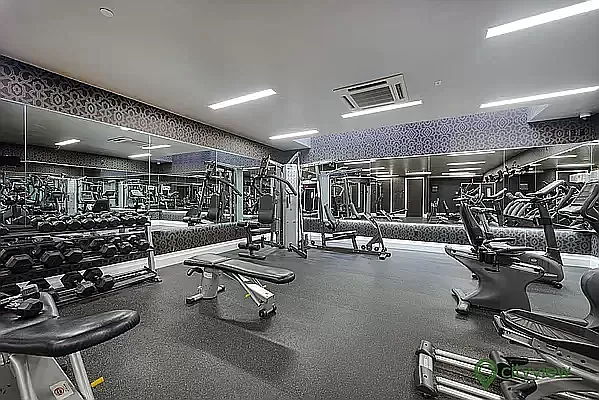 Rented by City View Living | media 26