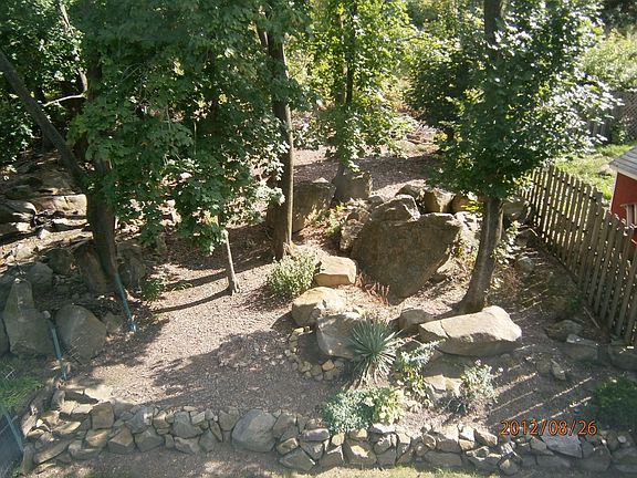 Another view of woods area