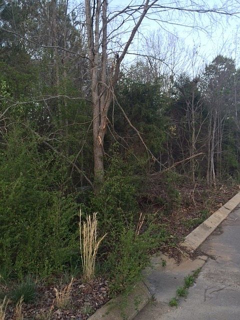 1st image of 1150 County Rd