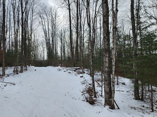 On Cth #T, Wabeno, WI 54566