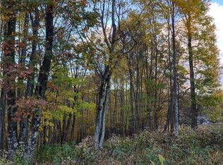10 Hidden Valley Ln LOT 10, Independence, VA 24348