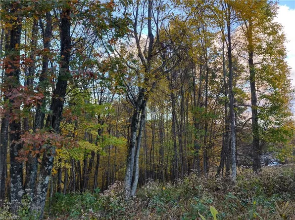 10 Hidden Valley Ln Lot 10, Independence, VA 24348