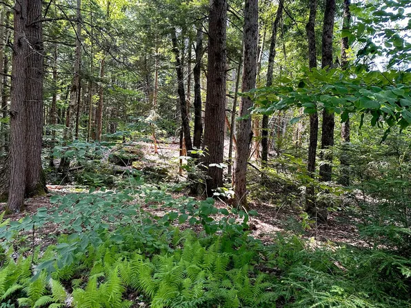 TM12 L21 Newmarket Road, Warner, NH 03278