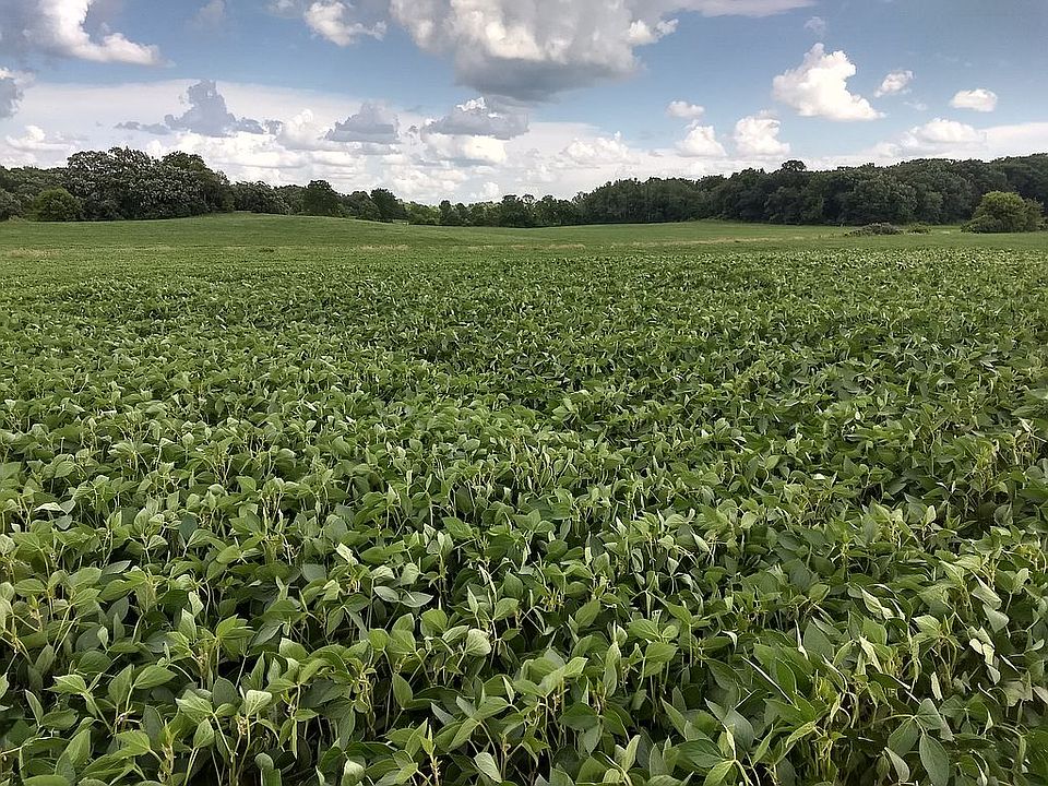 2nd image of 11744 E Pioneer Rd