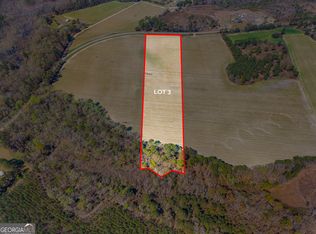 0 Stilson Leefield Rd LOT 3, Brooklet, GA 30415