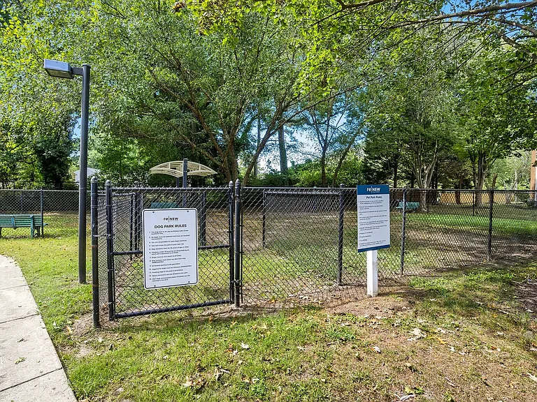 ReNew Little Creek — Photo 32