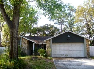 1921 Dove Field Pl, Brandon, FL 33510