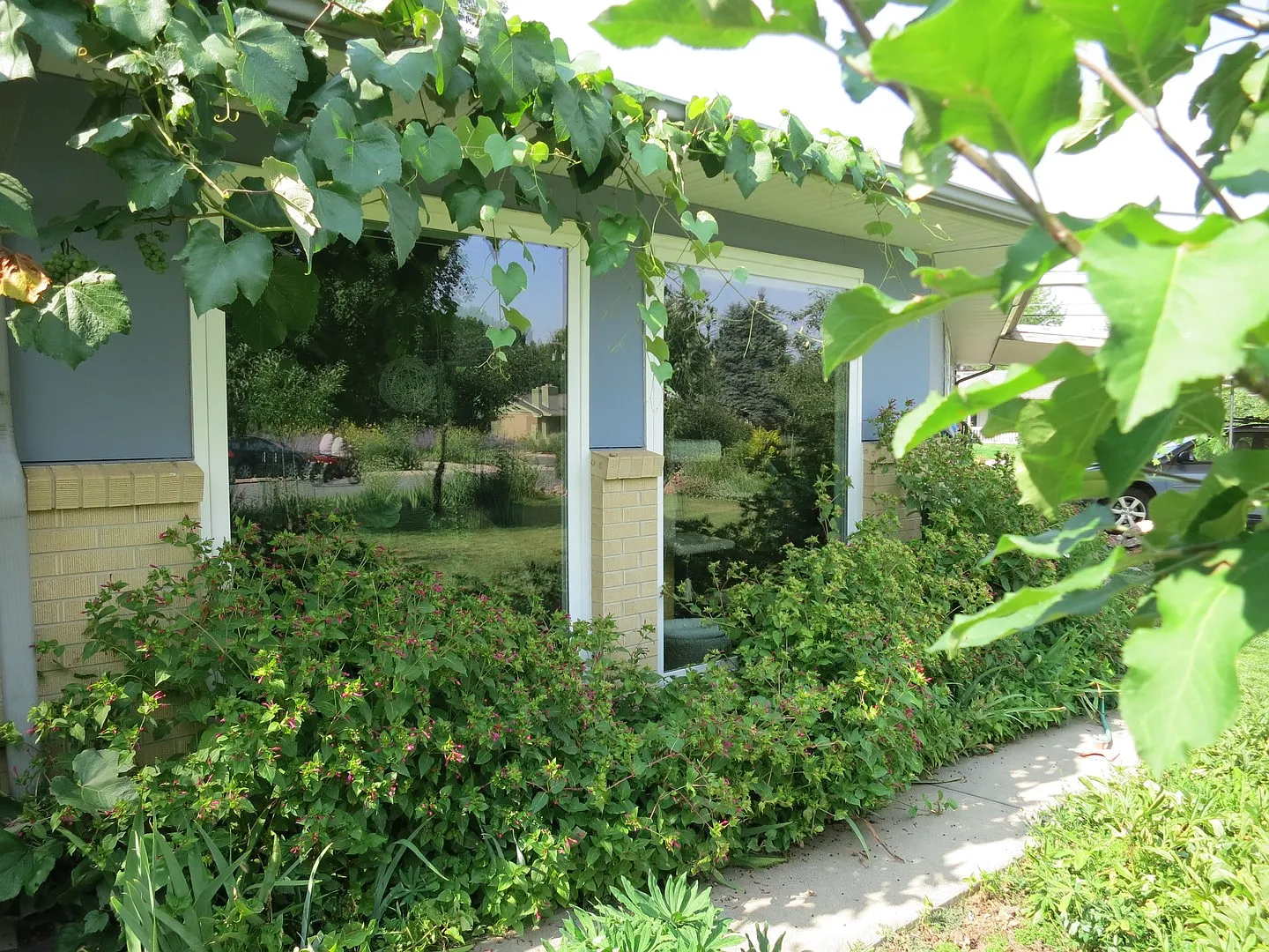 Grape Vines On Grape Ave: 3 Bed/2 Bath Ranch In Amazing Location In Old North Boulder! — Photo 2