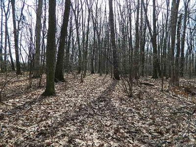 8212 E Meadow Ridge Ln, Howard City, MI, 49329