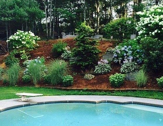 2nd image of 11 Pine Cone Dr