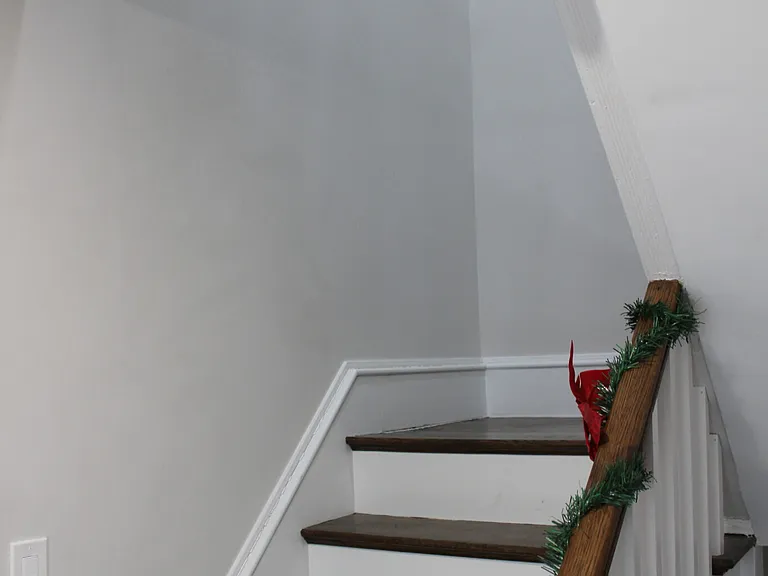 15 Pomeroy St — Photo 19