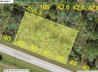 33382 Washington Loop Rd, Punta Gorda, FL 33982