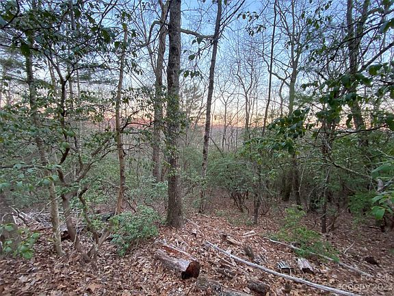 3rd image of 5C Dogwood Cir
